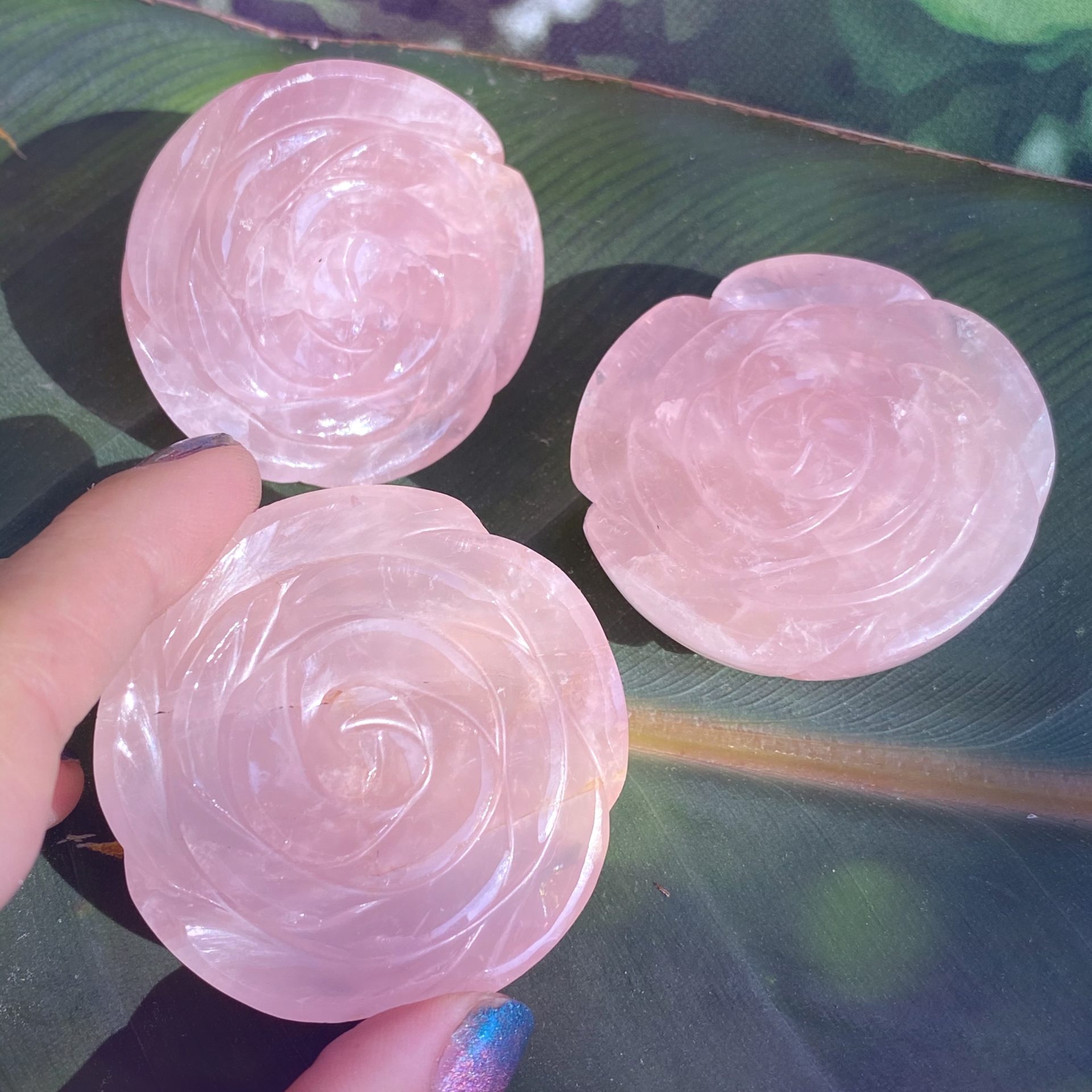 Rose Quartz Roses Charged By Athena At The Taurus New Moon
