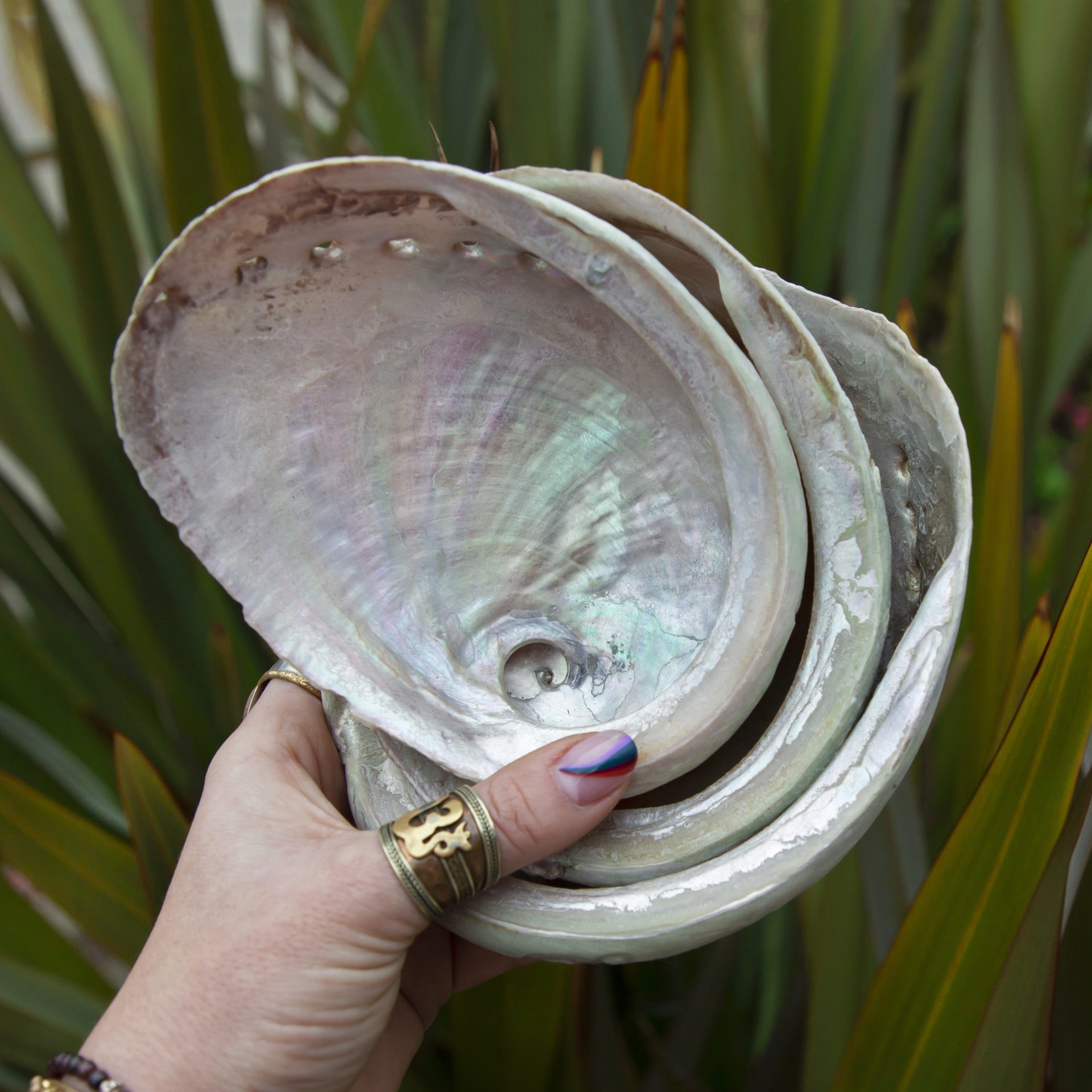 Abalone Shell Jewelry  Custom-Designed Jewelry From Abalone Shell