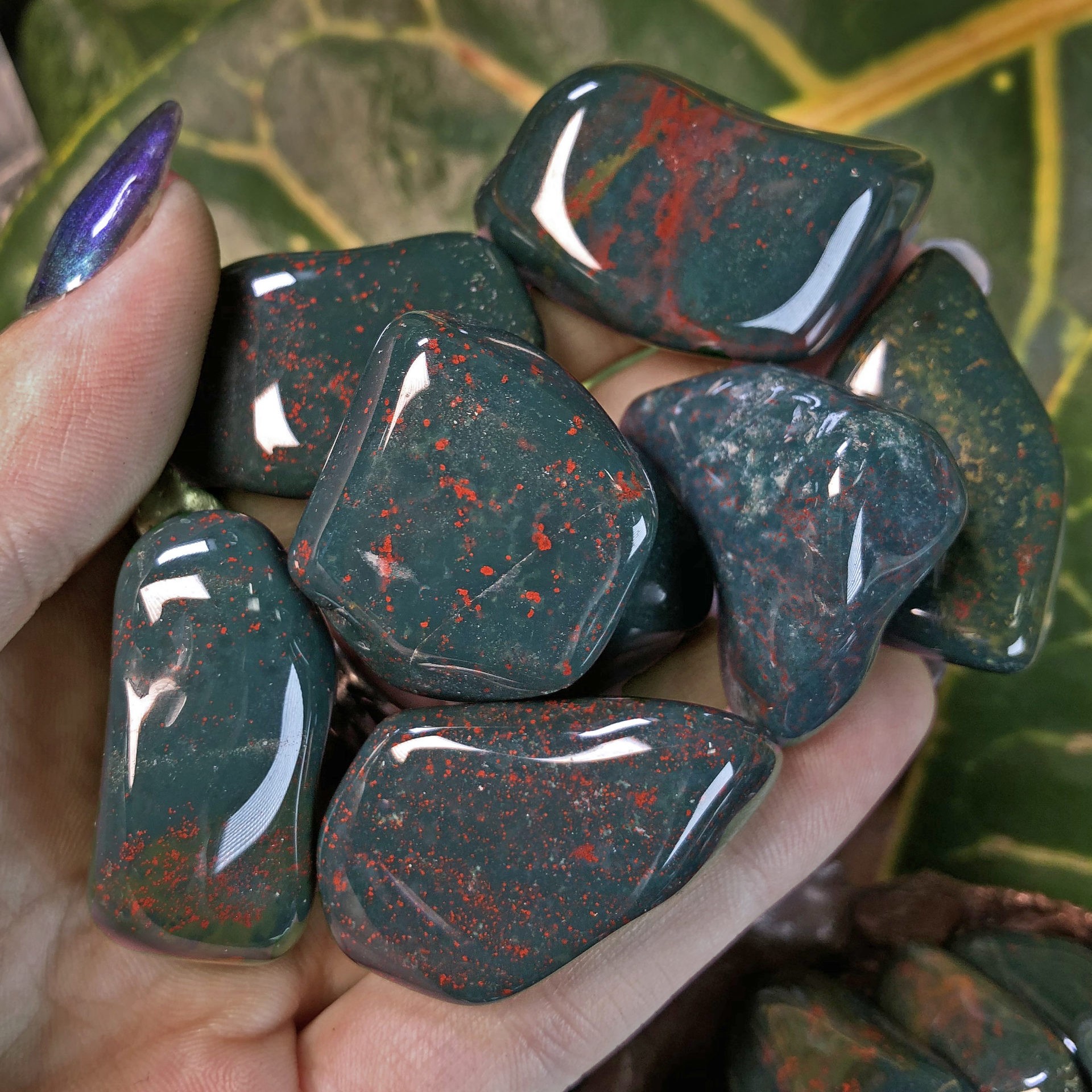 Bloodstone & Garnet Crystal Set (Tumbled)