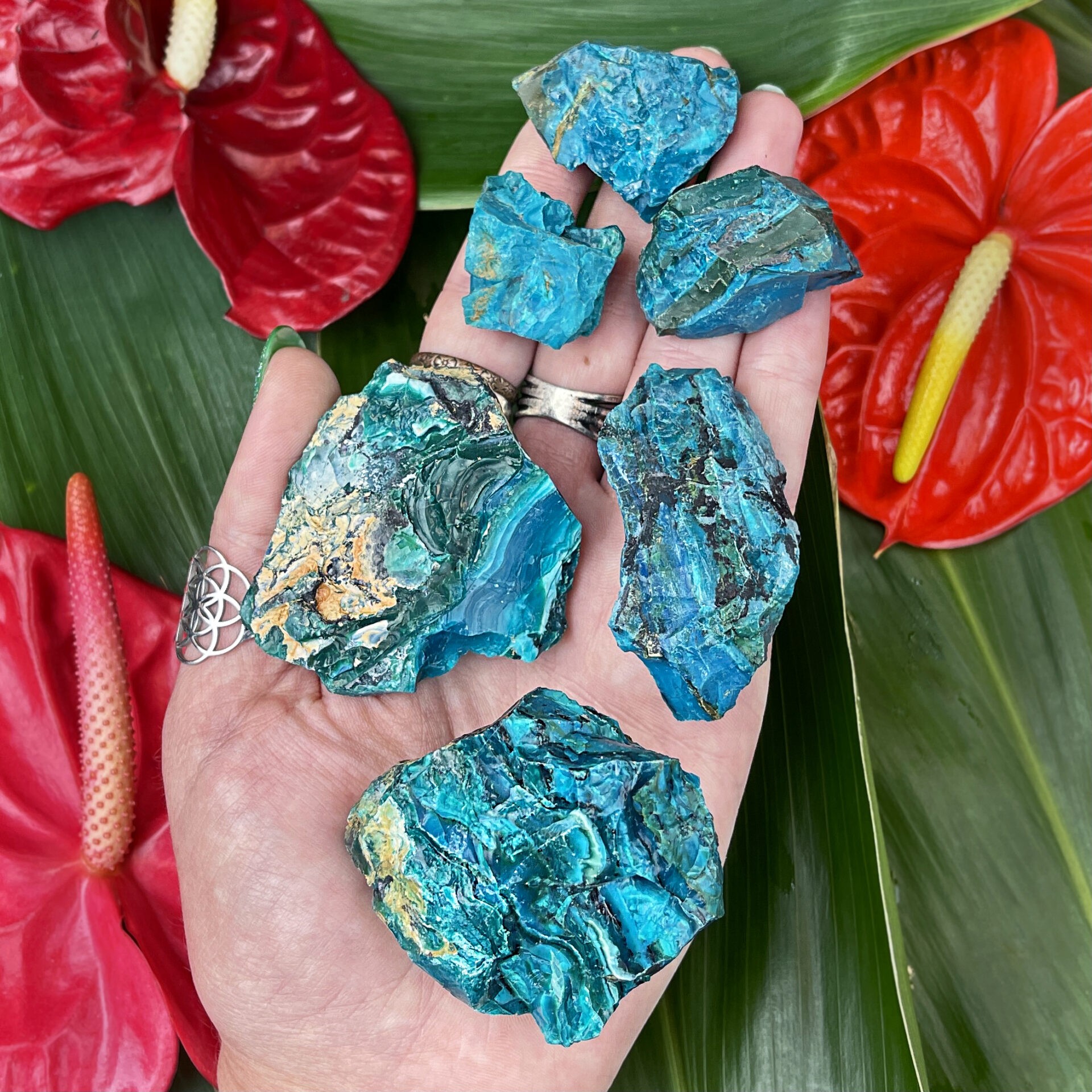 Everything You Need to Know About Blue Opals