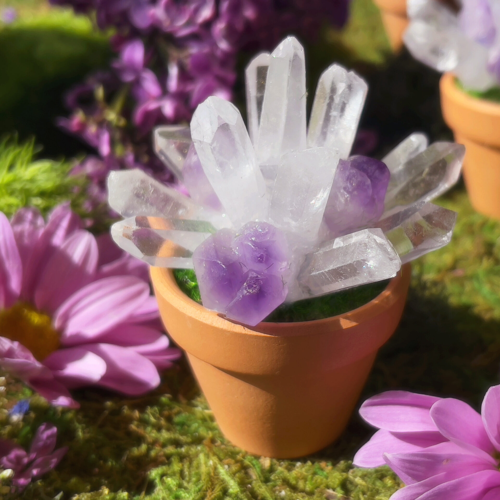 Image of Crystal Garden Flower Pot