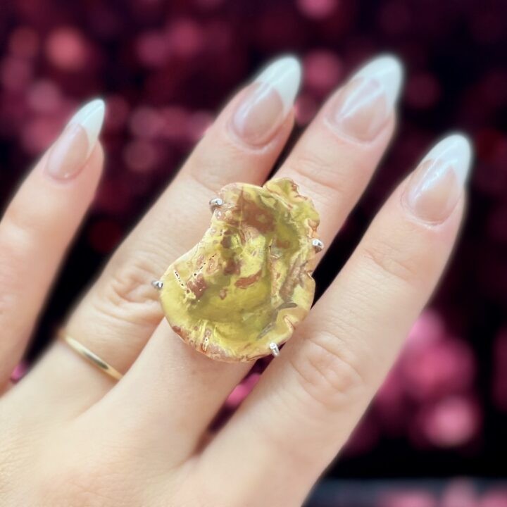 Petrified Wood Ring