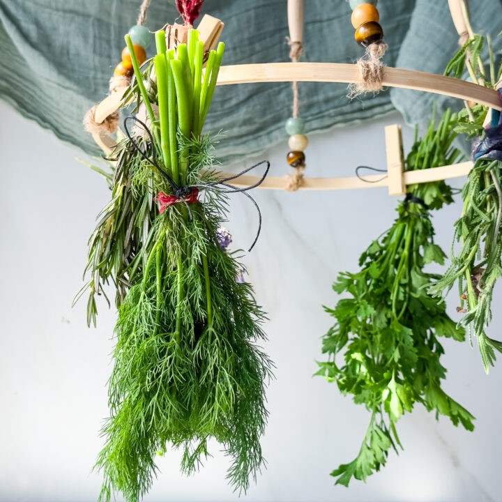 Crystal Herb Drying Mobile