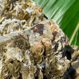 Natural Siderite with Chalcopyrite