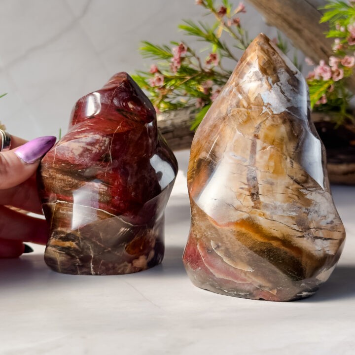 Petrified Wood Flame