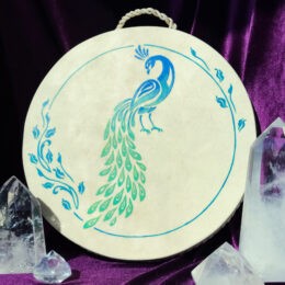 Sound Healing Peacock Rain Disk