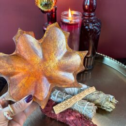 Autumn Smudging Set