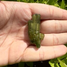 Natural Yellow & Green Bi-Color Tourmaline