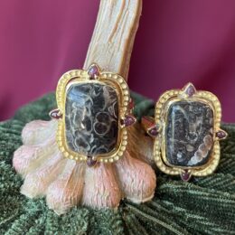 Turritella Agate & Ruby Ring