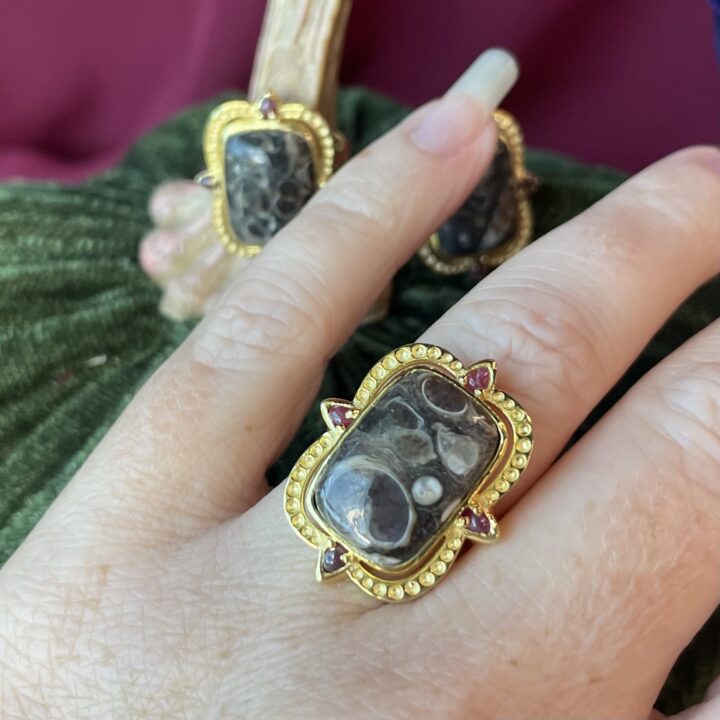 Turritella Agate & Ruby Ring